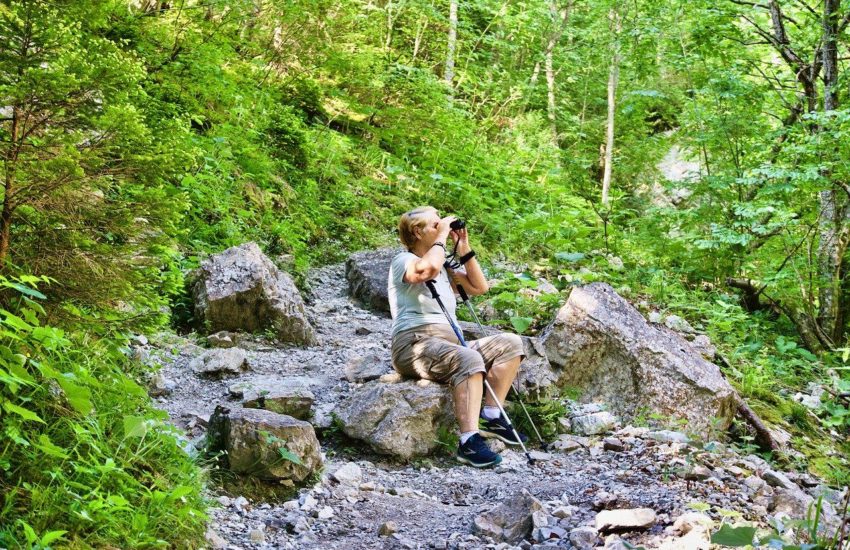 Wanderfernglas – Tipps und Empfehlungen
