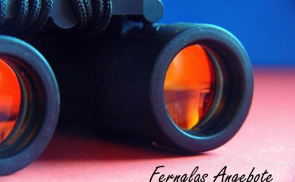 Aktuelle Fernglas Angebote